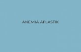 Anemia Aplastik (Presus)