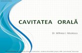 LP II-3-cavitatea orala 2013.pdf