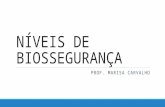 NÍVEIS DE BIOSSEGURANÇA.pptx