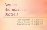 hidrocarbon bacteria FIX.pdf