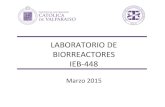 Clase 1 Lab Biorreactores Final (2015)