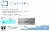 21-Introduccion a La Capilaridad