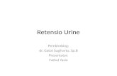 Retensio Urine