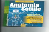 Anatomia Sottile. Roberto Zamperini