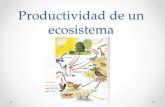 Primero Medio Productividad de Un Ecosistema