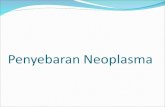 Penyebaran Neoplasma 2003