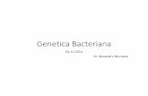 Genetica Bacteriana 2014