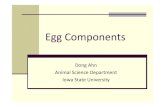 Egg Components