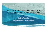 MEDICIONES RADIOLOGICAS SISTEMA APENDICULAR.pptx.pdf