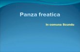 Panza Freatica