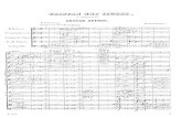 IMSLP20351-PMLP03546-Wagner Tristan Und Isolde Vorspiel Fs