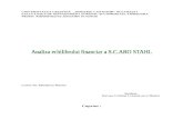 Referat - Analiza Economico-financiara La SC Aro Stahl
