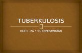 Tuberkulosis Ppt 111214101137 Phpapp02