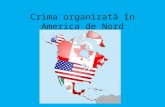 Crima Organizată În America de Nord