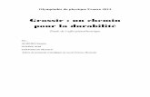 olympiades piezoelectricite_mexico.pdf