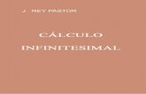 Livro - Cálculo Infinitesimal Por Rey Pastor