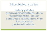 Microbiologia Exposicion (1).pptx