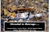 Alcoolul Te Distruge