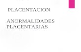 placentacion (anatomia, desarrollo y fisiologia de la placenta humana).