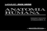 Anatomia humana Latarjet Tomo 2