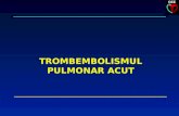 Tromboembolism Pulmonar Acut