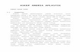 Anemia Aplastik II
