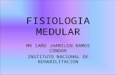 Fisiologia Medular