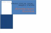 Practica SQL- Injection