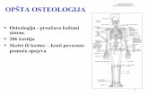 2M Opsta osteologija