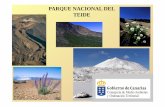 El Parque Nacional Del Teide