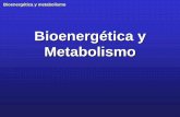 BioQ Metabolismo1 CND