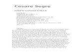Cesare Segre-Istorie Cultura Critica 03
