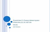 Chapitre 2 Caracteristiques Du Beton PDF