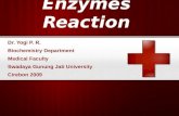 Enzymes Reaction