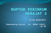 Ppt Lapsus 2 Ruptur Perineum