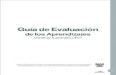 GUIA EVALUCION DE LOS APRENDIZAJES.pdf