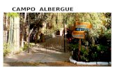Campo Albergue Acomayo -cusco