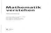 Mathematik Verstehen - Maturatraining