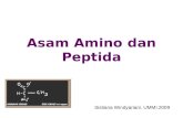 Asam Amino Dan Peptida