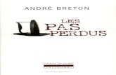 Breton La Confession Dédaigneuse, Les Pas Perdus