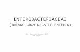 Enterobacteriaceae (MI 152)