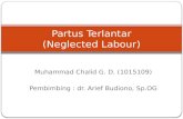 Partus Terlantar (Neglected Labour)