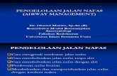 Pengelolaan Jalan Nafas (Airway Management)