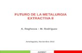 Futuro de La Metalurgia Extractiva II