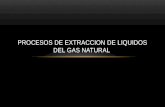 Procesos de Extraccion de Liquidos Del Gas Natural, Disertacion de Gas II, Grupo 6