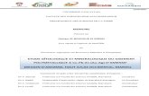 Memoire Gite polymétallique Amensif-El-Idrissi-GAMRE.pdf