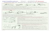 Apuntes Iyengar 4.pdf