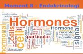 Moment 8 - Endokrinologi