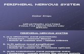 PERIPHERAL NERVOUS SYSTEM.ppt