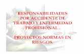 07 Responsablidad Civil en Riesgos Profesionales Minproteccion